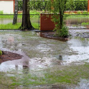 Water accumulating in yard from rain